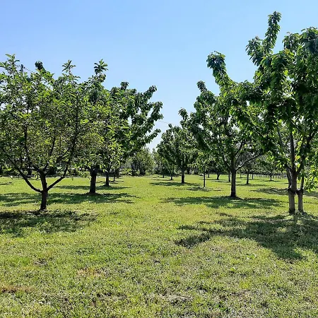 Mia Airport Appartamento *