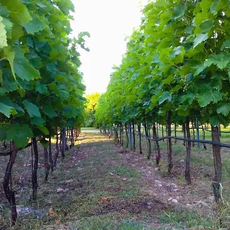 Mia Airport דירה פודגוריצה