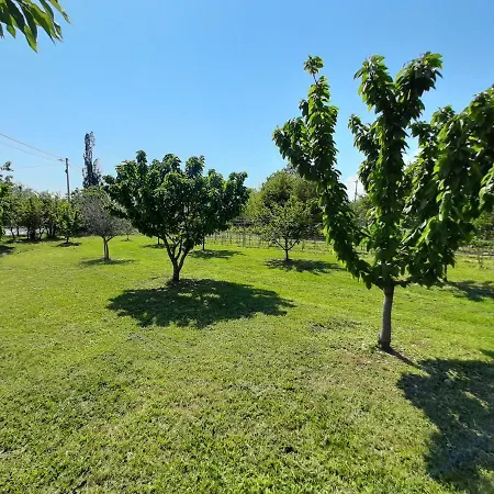 Mia Airport Διαμέρισμα