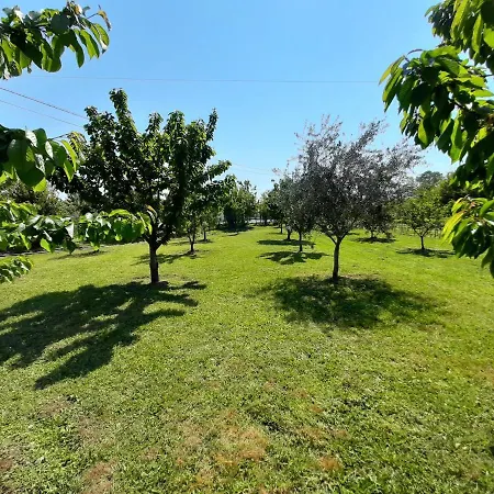 Mia Airport Apartamento