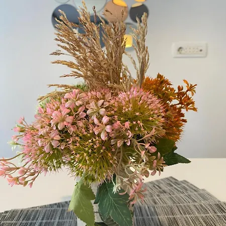 Appartamento Mia Airport Podgorica