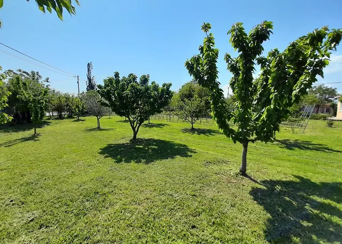 Mia Airport Lejlighed