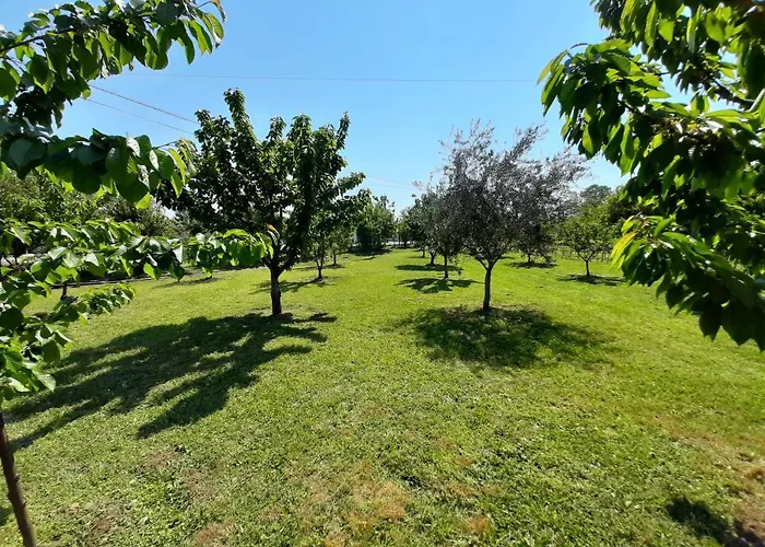 Mia Airport Lejlighed