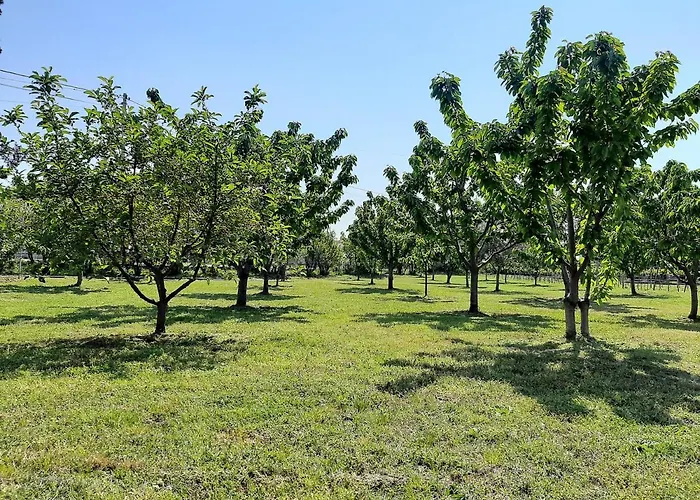 Mia Airport Lejlighed *